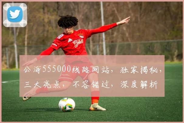 公海555000线路网站，独家揭秘，三大亮点，不容错过，深度解析