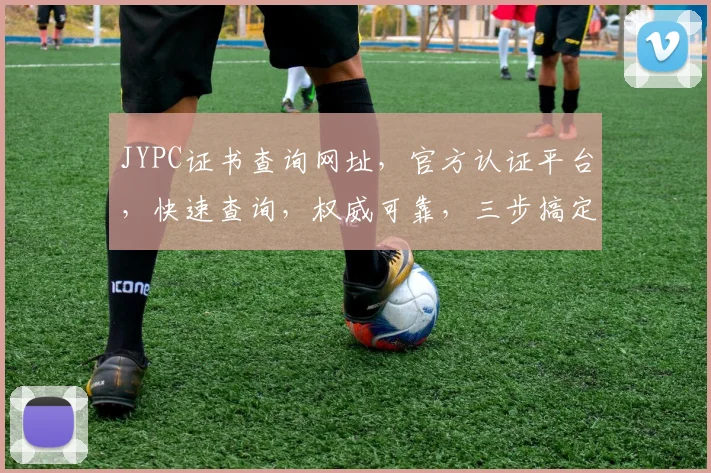 JYPC证书查询网址，官方认证平台，快速查询，权威可靠，三步搞定，轻松查看